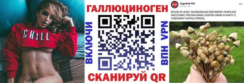 кракен зеркало  Уварово  Псилоцибиновые грибы Cubensis 