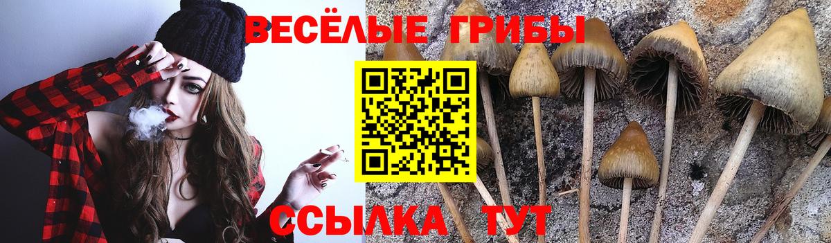 Галлюциногенные грибы мицелий  Псилоцибиновые грибы MAGIC MUSHROOMS  Вход с VPN  Уварово 
