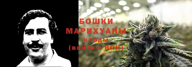 МАРИХУАНА White Widow  Уварово 